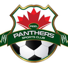 Soccer field and club branding